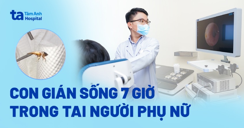 con gián sống 7 giờ trong tai
