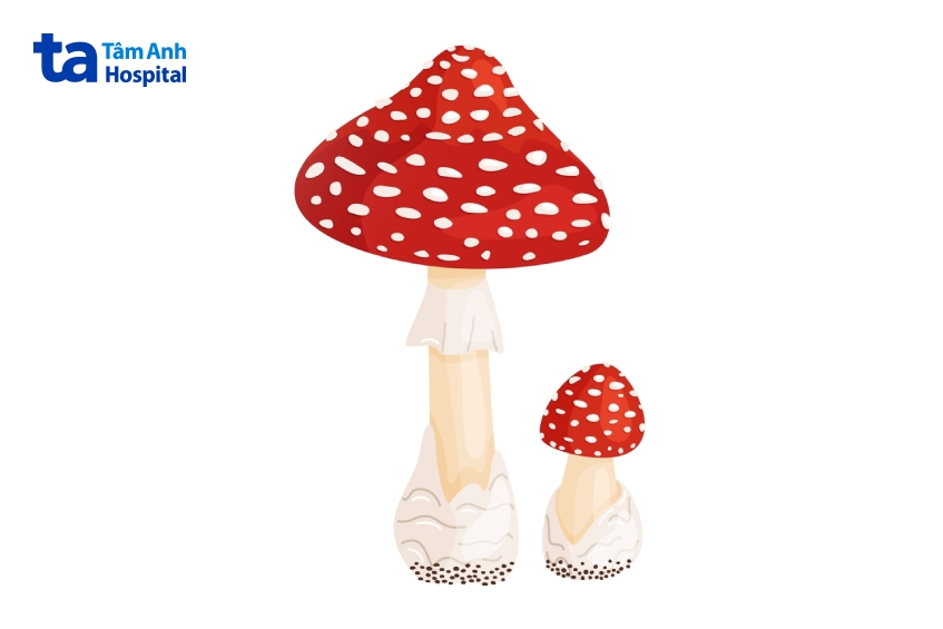 dấu hiệu bao quy đầu bị nhiễm nấm