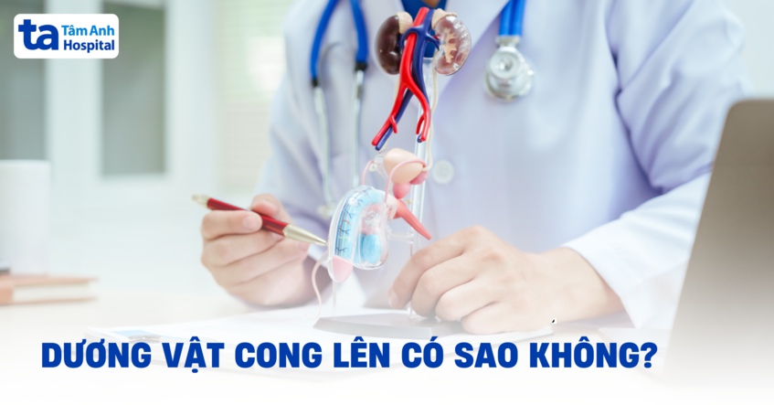 Dương vật cong lên sao không? Bình thường hay ảnh hưởng gì không?
