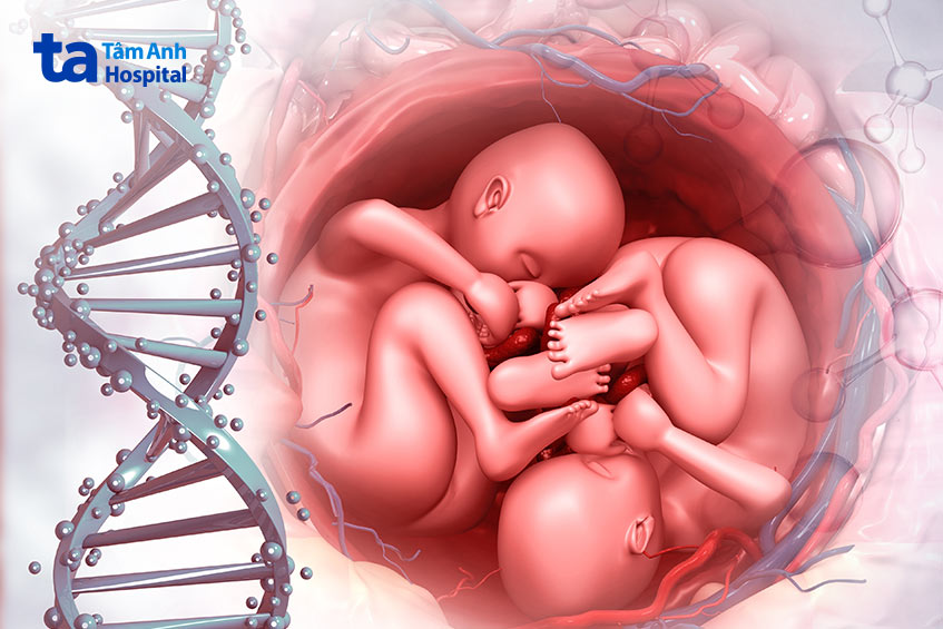 IVF Tâm Anh luôn là địa chỉ uy tín giúp các cặp đôi tối ưu hoá, gia tăng tỷ lệ thành công trong IVF