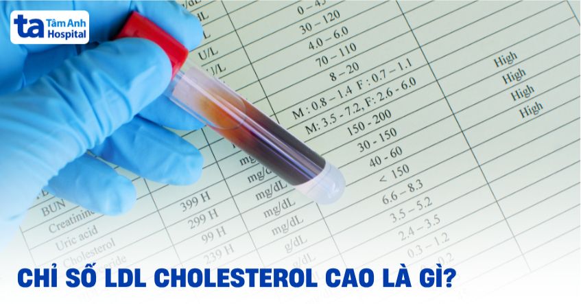 Chỉ số LDL cholesterol cao là gì? Có nguy hiểm không?
