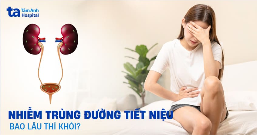 Nhiễm trùng đường tiết niệu bao lâu thì khỏi? Có bị tái phát không?