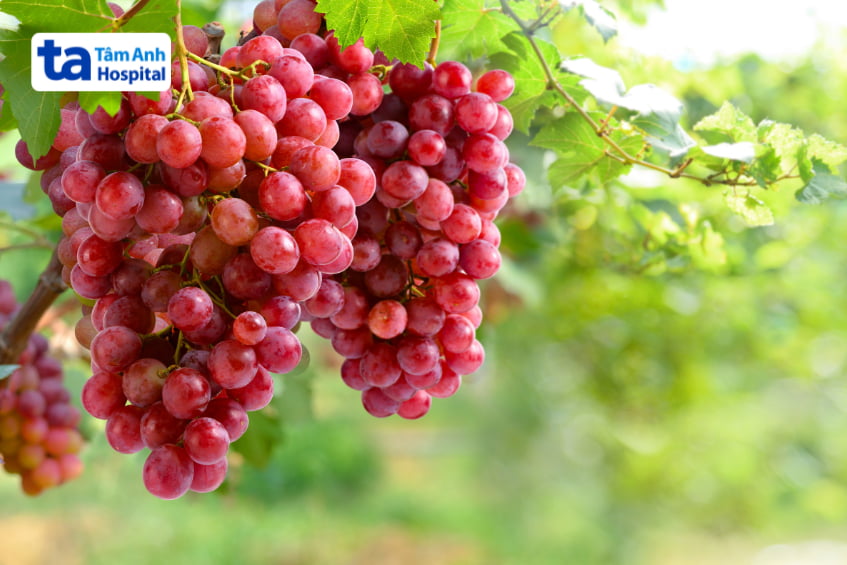 những thực phẩm làm tan cục máu đông