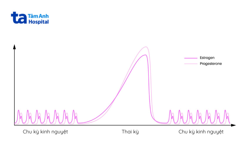 nồng đồ progesterone và estrogen