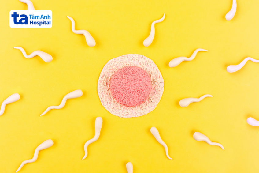 quá trình thụ tinh diễn ra khi trứng rụng