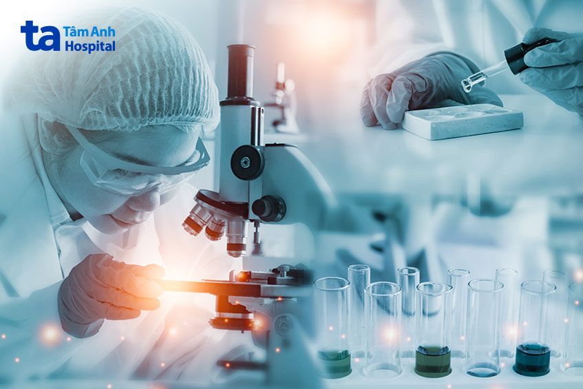 Quy trình nuôi phôi ngày 6 được thực hiện dưới sự giám sát của các chuyên gia phôi học giàu kinh nghiệm