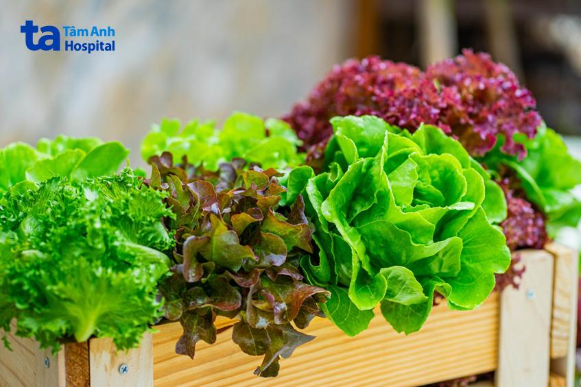 rau xanh giàu chất xơ hạn chế tích mỡ