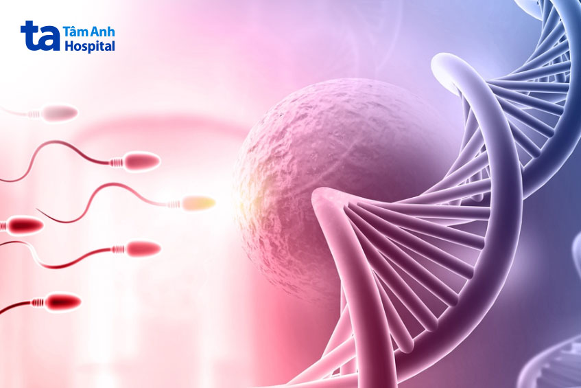 rối loạn xuất tinh ở nam giới phân làm 4 loại