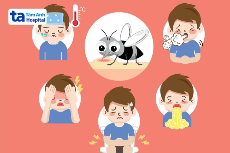 sốt cao, buồn nôn, tiêu chảy là dấu hiệu sốt rêt