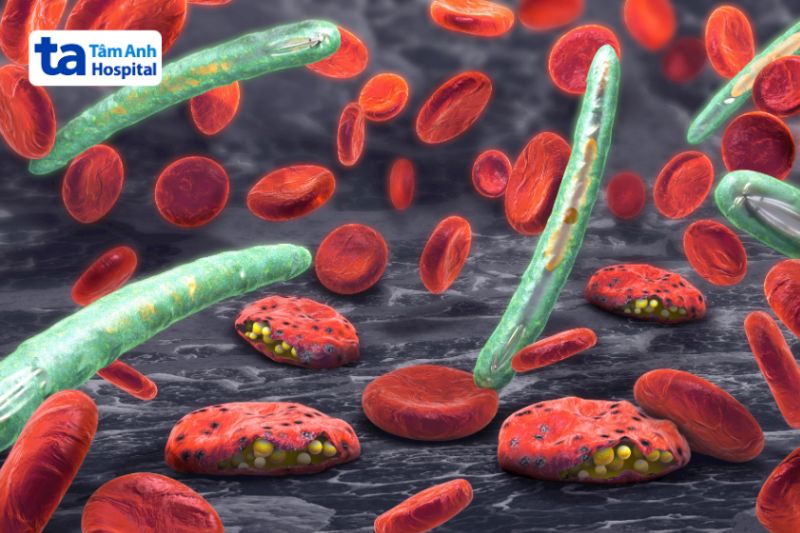 ký sinh trùng sốt rét