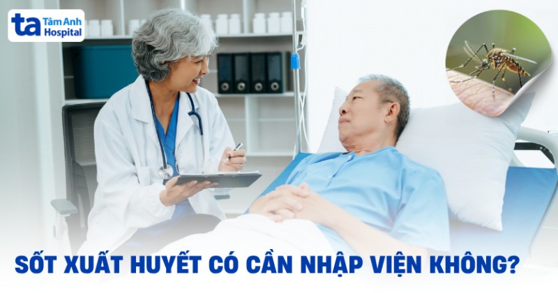 Bị sốt xuất huyết có cần nhập viện không? 8 dấu hiệu cảnh báo