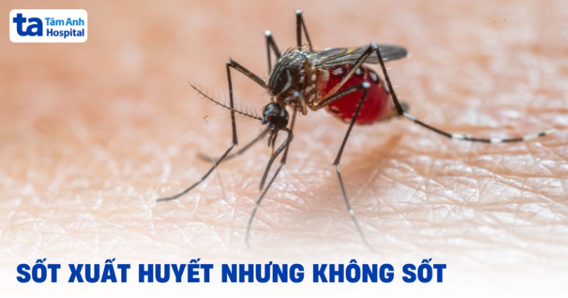 Bị sốt xuất huyết nhưng không sốt: Nguyên nhân, dấu hiệu và hệ lụy
