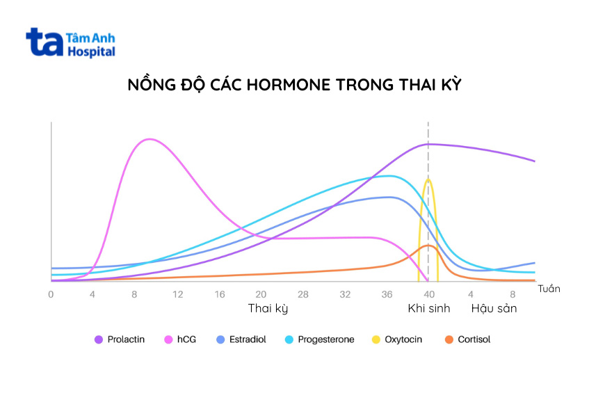 sự thay đổi hormone khi mang thai