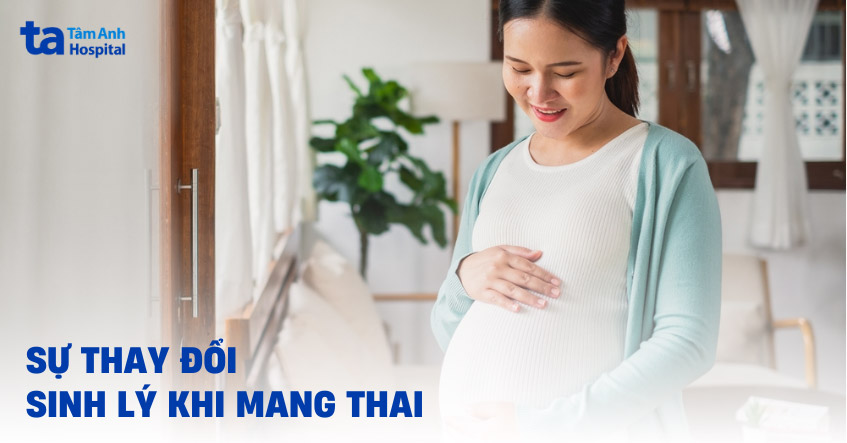Sự thay đổi sinh lý khi mang thai ở phụ nữ diễn ra như thế nào?