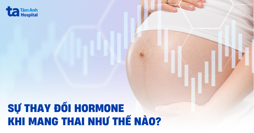 Sự thay đổi hormone khi mang thai như thế nào? Mẹ bầu cần chú ý gì?