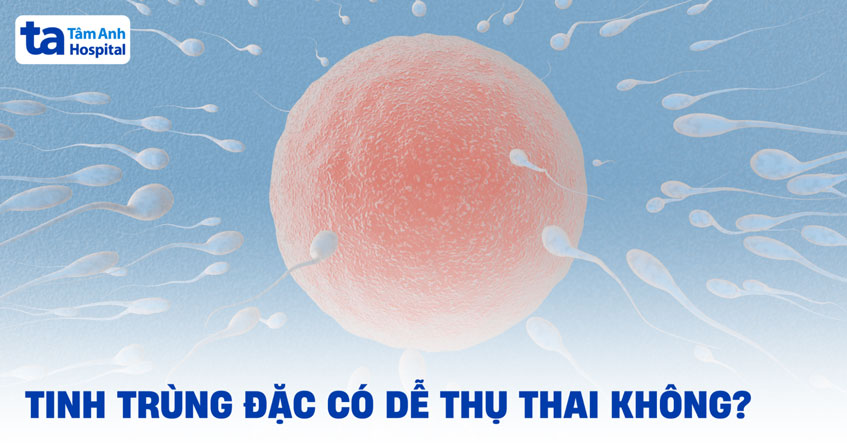 Tinh trùng đặc có dễ thụ thai không? Có gây vô sinh không?