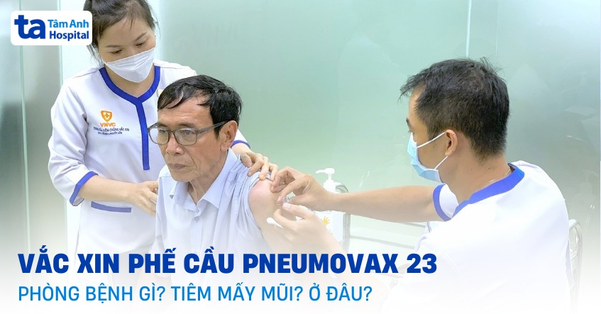 Vắc xin phế cầu Pneumovax 23 giá bao nhiêu? Tiêm mấy mũi? Lịch tiêm?