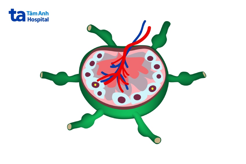 viêm hạch trẻ em thường không nguy hiểm