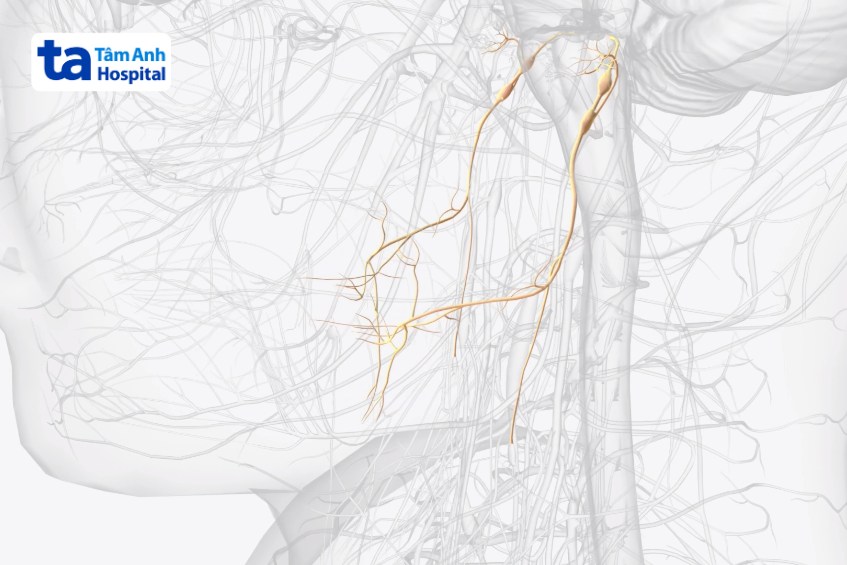 bệnh liệt dây thần kinh số 9