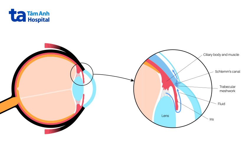 cấu tạo từ nhiều bộ phận