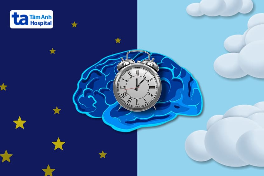 duy trì nhịp sinh học ổn định