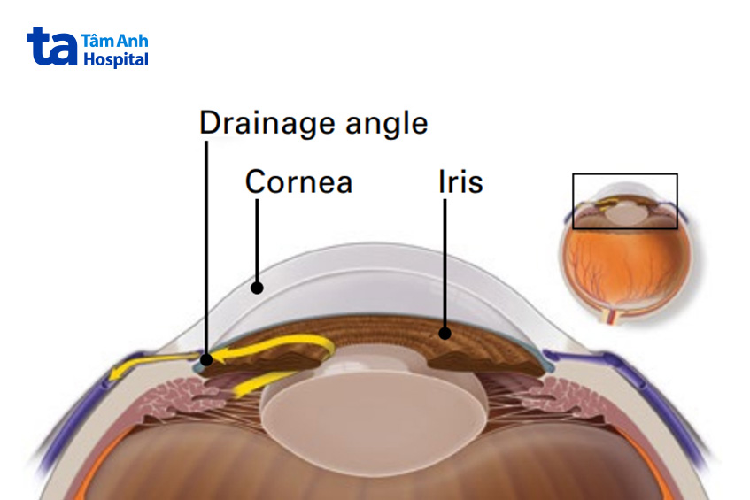 duy trì ổn định áp lực nội nhãn