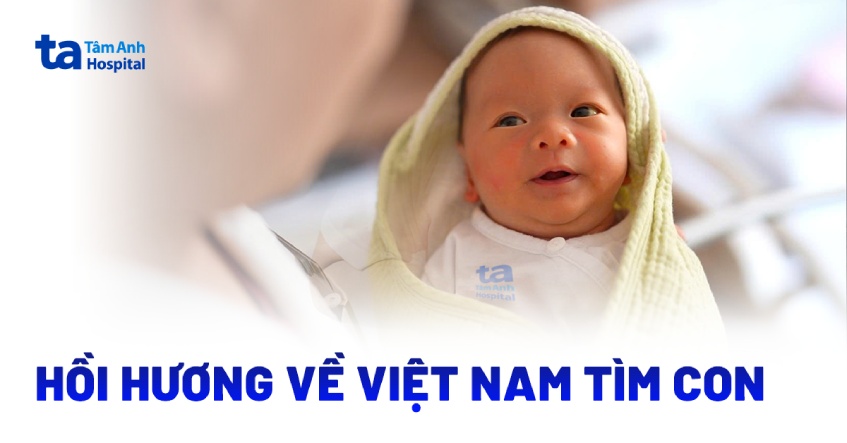 Hồi hương về Việt Nam "tìm con"