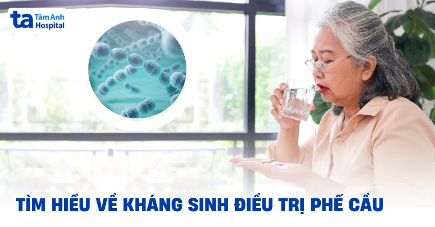 Nguyên tắc lựa chọn thuốc kháng sinh điều trị phế cầu khuẩn