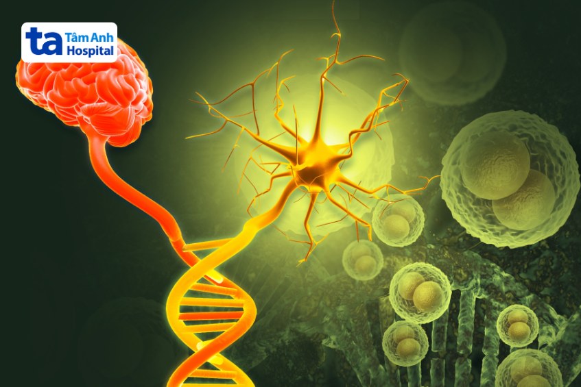 phục hồi mô não tổn thương với tế bào gốc