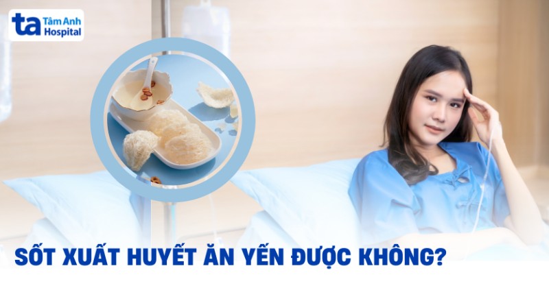 Sốt xuất huyết ăn yến được không? Lợi ích và nguy cơ cần lưu ý