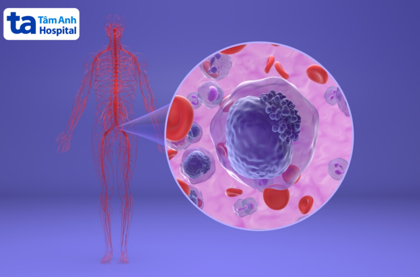 sử dụng trong quy trình tế bào gốc