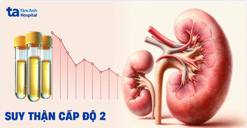 Bệnh suy thận độ 2 và cảnh báo quan trọng