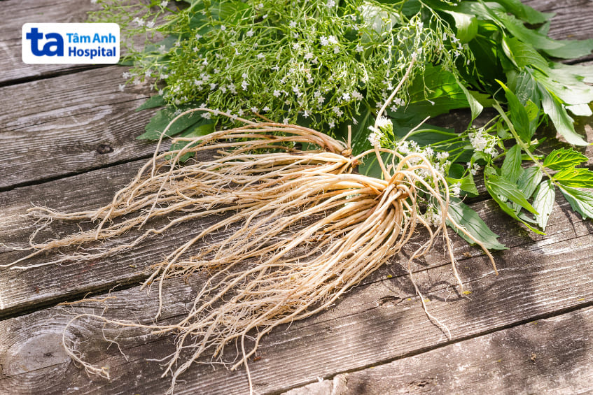 thảo dược hỗ trợ giấc ngủ, giúp giảm lo âu