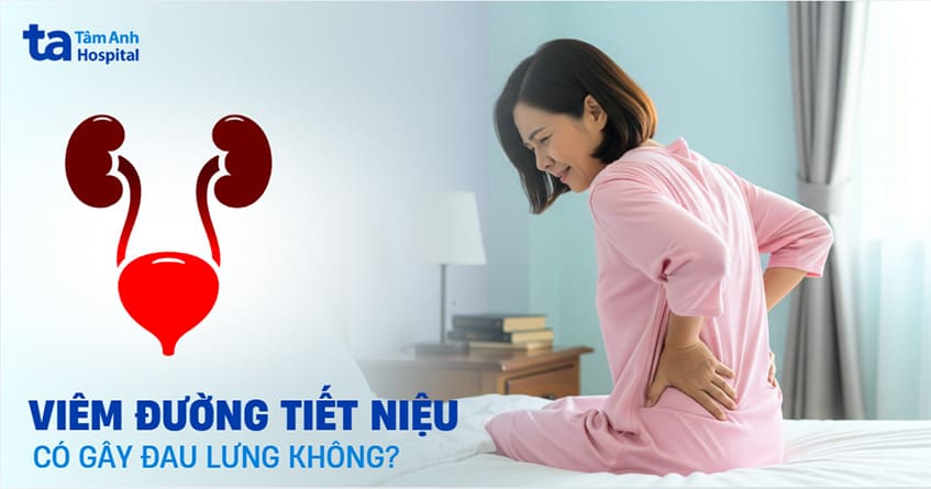 Viêm đường tiết niệu có gây đau lưng không? Nên làm gì khi bị?