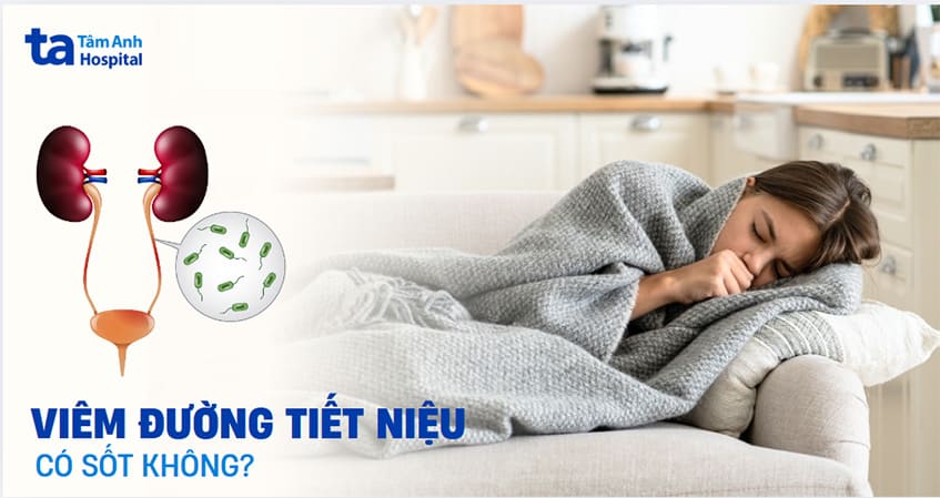 Viêm đường tiết niệu có sốt không? Khi nào nên đi khám?