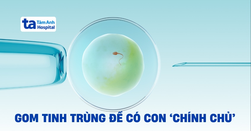 4 lần gom tinh trùng để có con