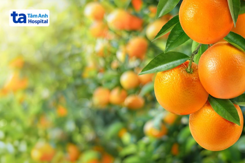 cam chứa vitamin c tăng cường miễn dịch