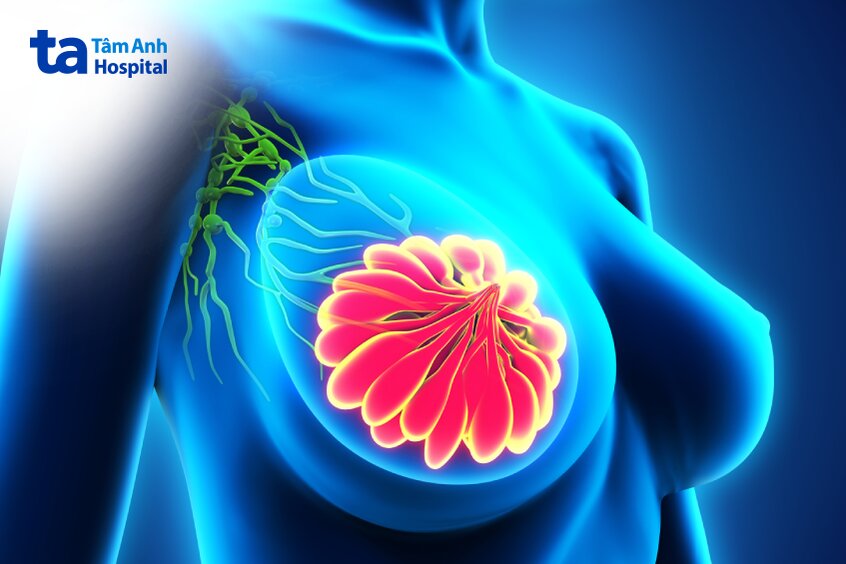 chỉ định và chống chỉ định