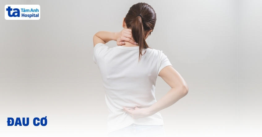 Đau cơ là gì? Nguyên nhân, triệu chứng và cách điều trị