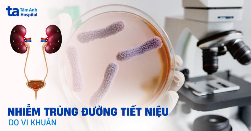 Nhiễm trùng đường tiết niệu do vi khuẩn là gì? Chữa được không?