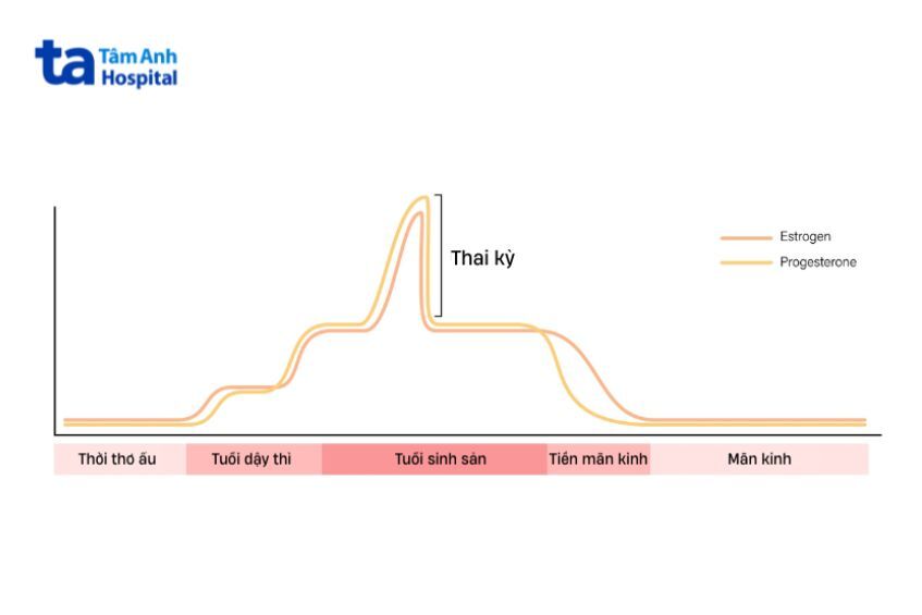 Mất cân bằng hormone là nguyên nhân chính