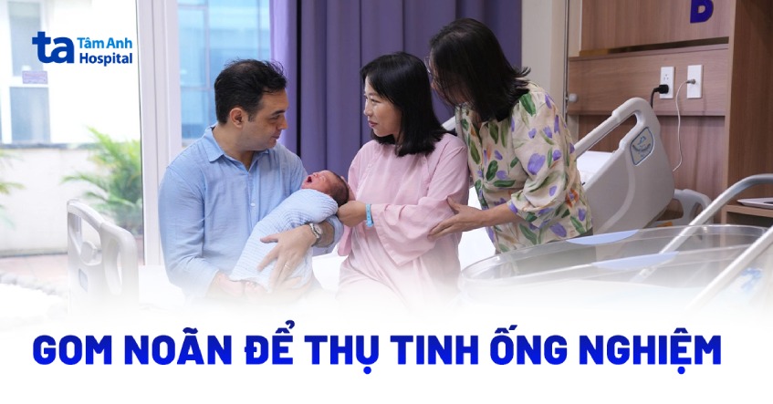 Từ Pháp về Việt Nam gom trứng để sinh con
