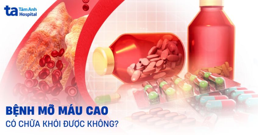 Bệnh mỡ máu cao có chữa khỏi được không và cách kiểm soát