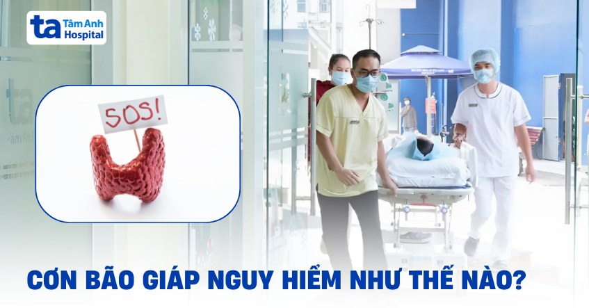 Cơn bão giáp là thế nào? Có hướng xử lý không?