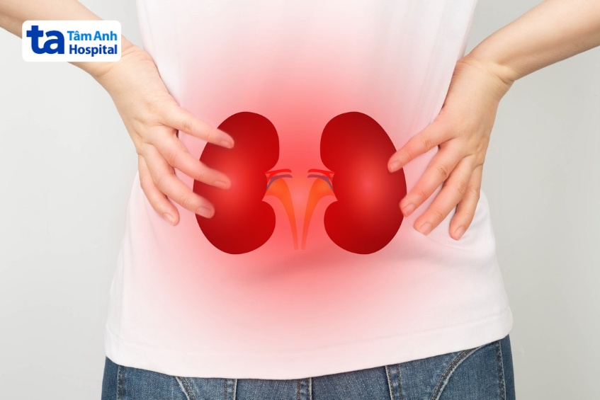 Tại Sao Uống Thuốc Huyết Áp Rồi Mà Huyết Áp Vẫn Tăng? Cần Làm Gì? Huyết Áp Không Được Kiểm Soát Làm Tăng Nguy Cơ Tổn Thương Thận Lâu Dài