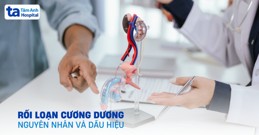 Rối loạn cương dương: Nguyên nhân, dấu hiệu, chẩn đoán, biến chứng
