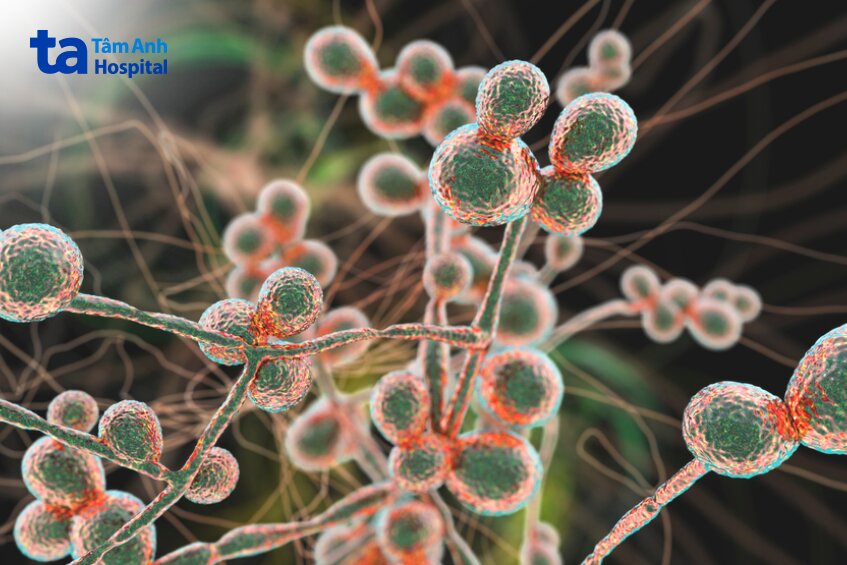 ưu điểm của phương pháp