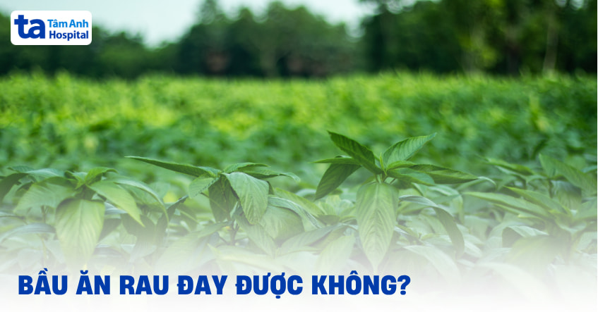 Bầu ăn rau đay được không và cần lưu ý những gì?