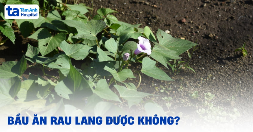 Bà bầu ăn rau lang được không? Ăn nhiều có sao không?