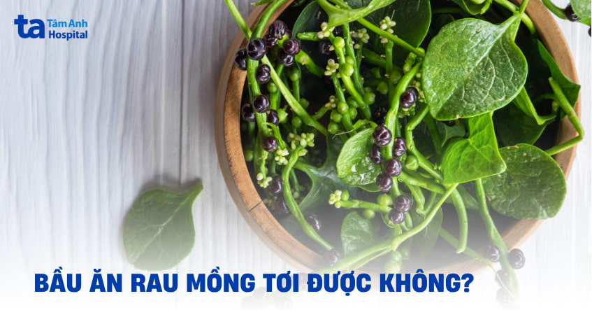 Bầu ăn rau mồng tơi được không?
